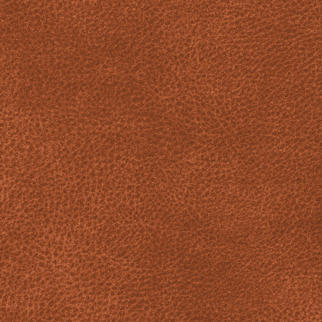 Látka Abitex Smart Skiny (col. 301)