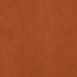 Sametová látka Abitex Aida (col. 300)