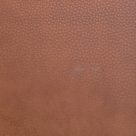 Čalounická koženka Samoa Alce