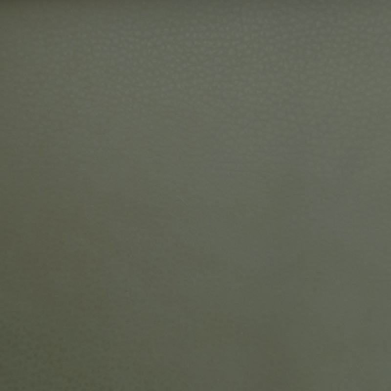 Čalounická koženka Samoa Alce