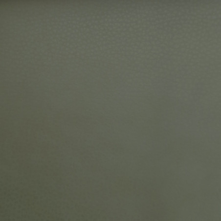 Čalounická koženka Samoa Alce